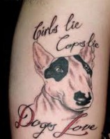 /album/animales-perros/images-1-jpg1/